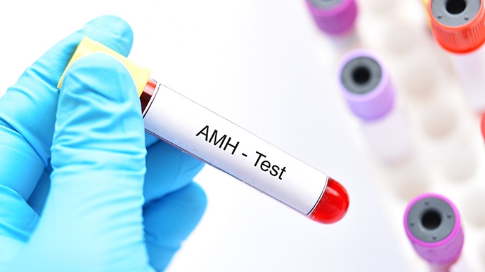 醫護解碼-生育荷爾蒙檢查全攻略-AMH-FSH-排卵期指標解讀 | 備孕方案指南